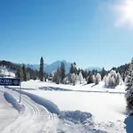 Hotel Alpengasthof Almrose Im Heutal 3*
