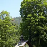 Hotel Alpengasthof Almrose Im Heutal 3*