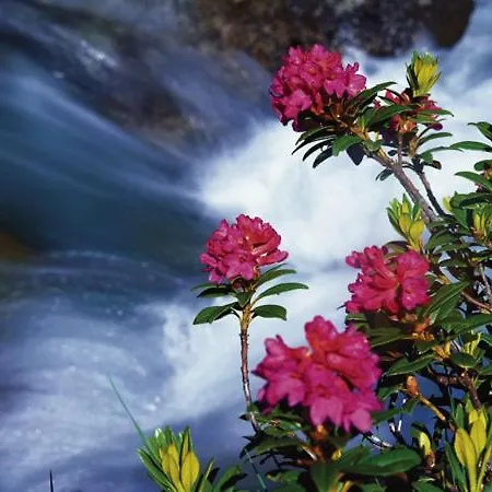 Hotel Alpengasthof Almrose Im Heutal Unken