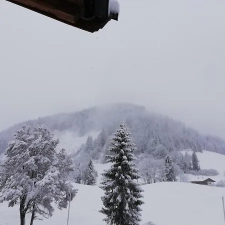Hotell Alpengasthof Almrose Im Heutal 3*