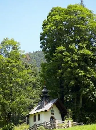 Hotell Alpengasthof Almrose Im Heutal 3*