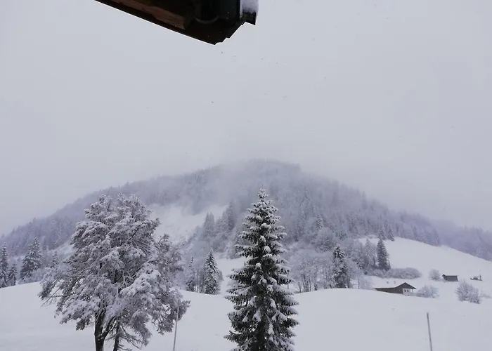 Hotel Alpengasthof Almrose Im Heutal 3*