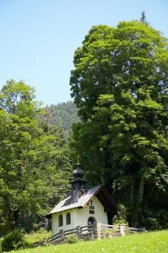 Hotel Alpengasthof Almrose Im Heutal 3*